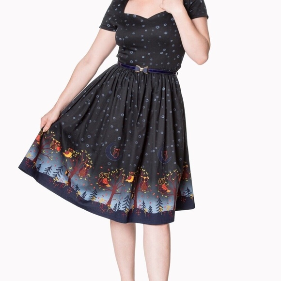 Banned Apparel Dresses & Skirts - Owl Print ModCloth Banned Apparel Lone Traveller Dancing Days Dress Size Large